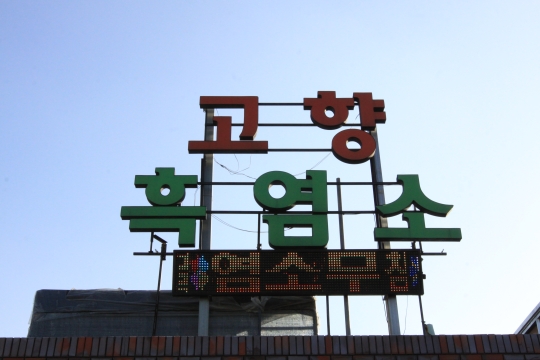 고향흑염소